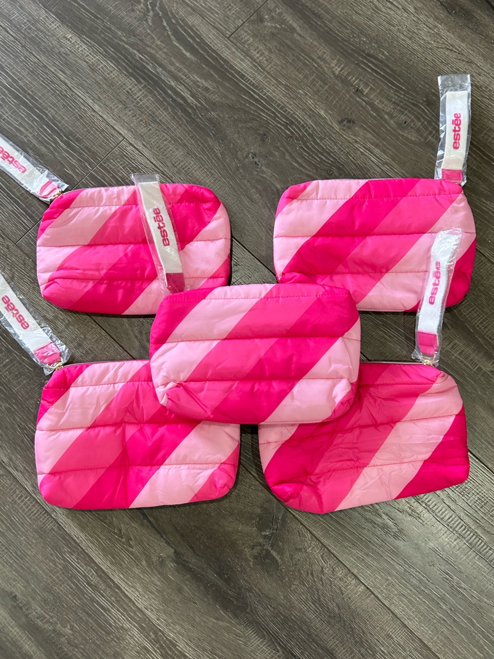 Estee Lauder Pink and Hot Pink Striped Cosmetic Pouches